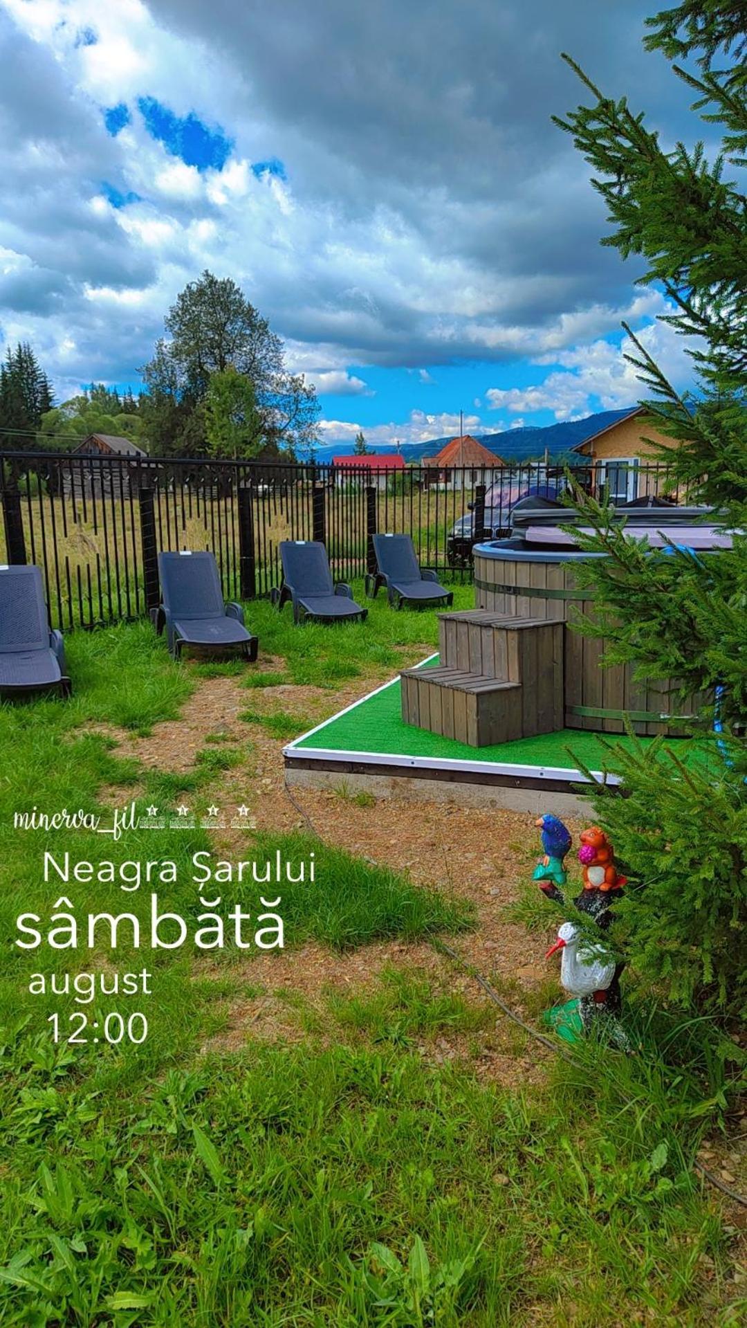 Vila Raisa Neagra Sarului Luaran gambar